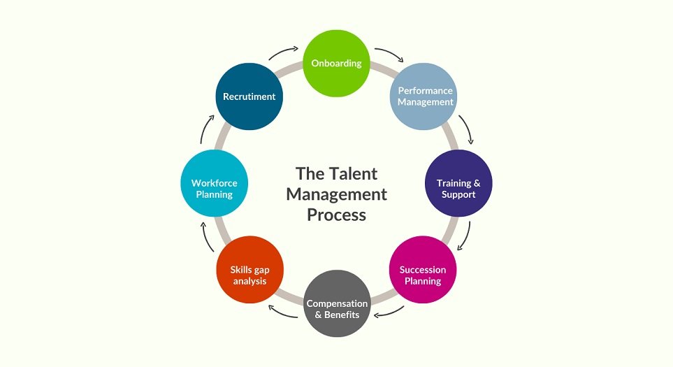 Talent Development